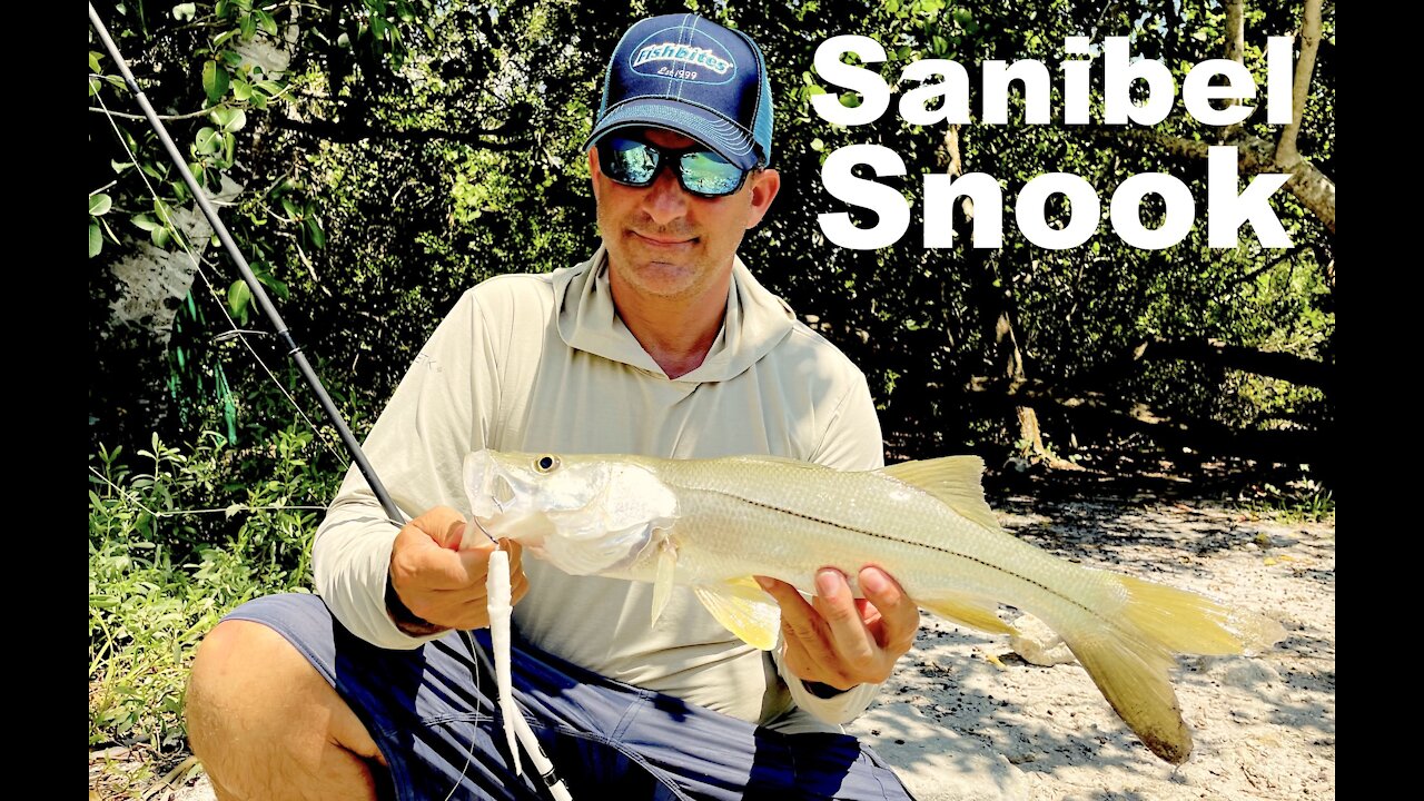 Snook Exploding Under Bridge || South Florida Vacation || Sanibel Island