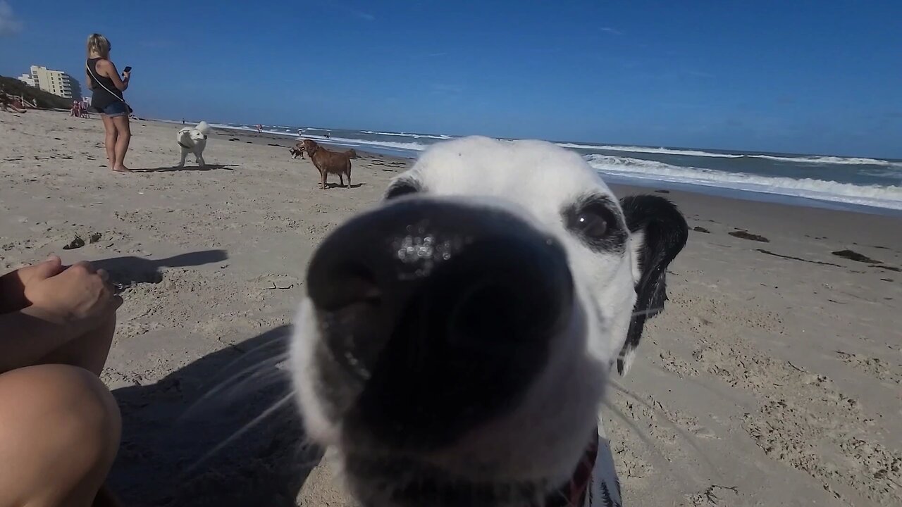 Luna More Beach time