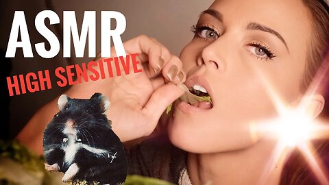 ASMR Gina Carla 🥬 Let Me (and Gundel) Stimulate Your Ears! High Sensitive!