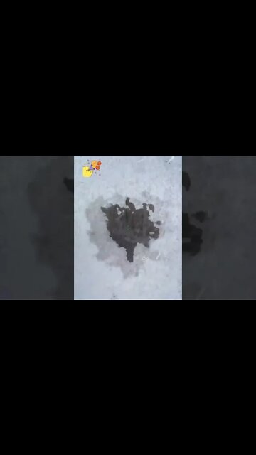 Rush TR D2 3k Pistol