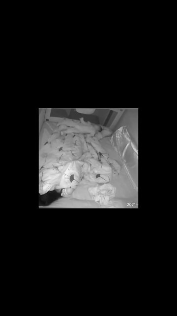 #short #trend #tiktokvideo #viral #sort#comedy #ghost