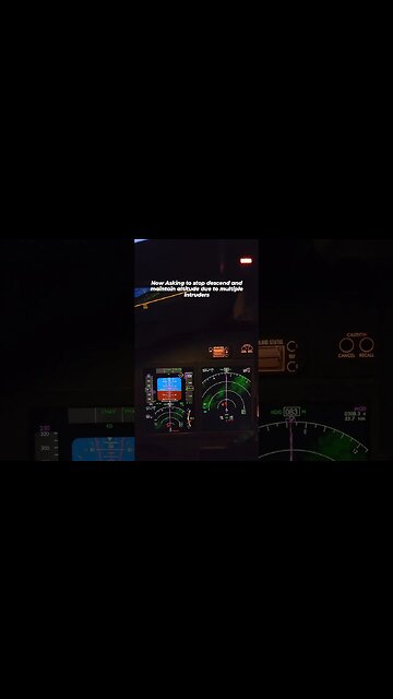 How pilots avoid traffic collision?✈️🫣