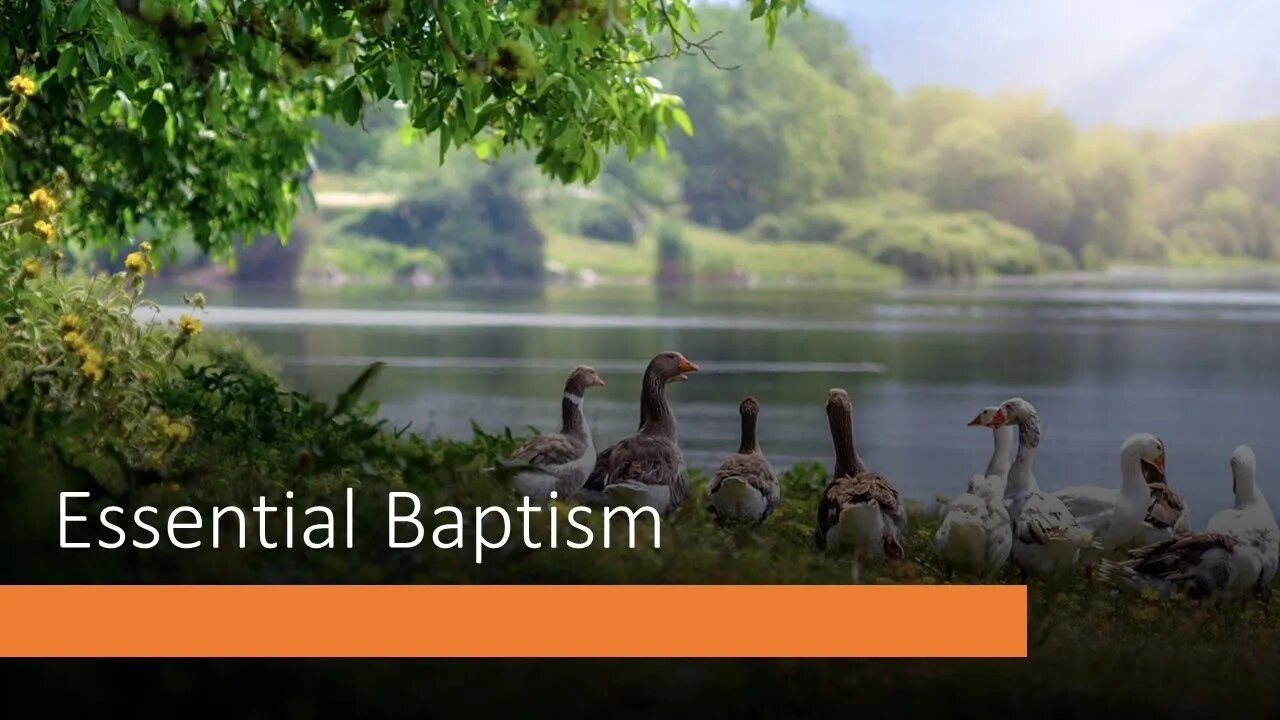 Sunday PM Service: Essential Baptism