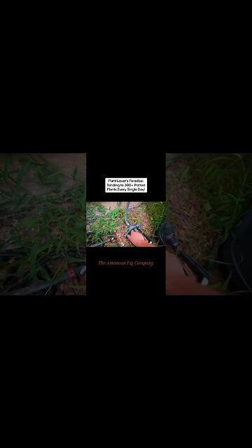 From Job Loss to Fruitful Dreams: My Viral Journey into Owning a Fruit Tree Nursery 🍏🌳