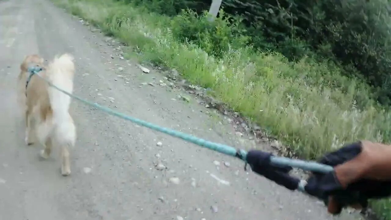 July 14th, 67º and humid again