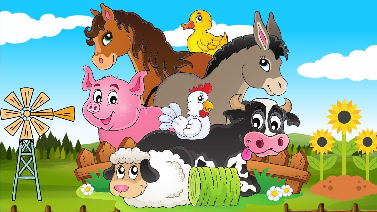 Farm animals life, animals video horse, duck, chicken, sheep, donkey, pig, cow, cat - animal sounds