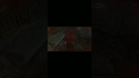 Resident Evil 4 :) So no head?