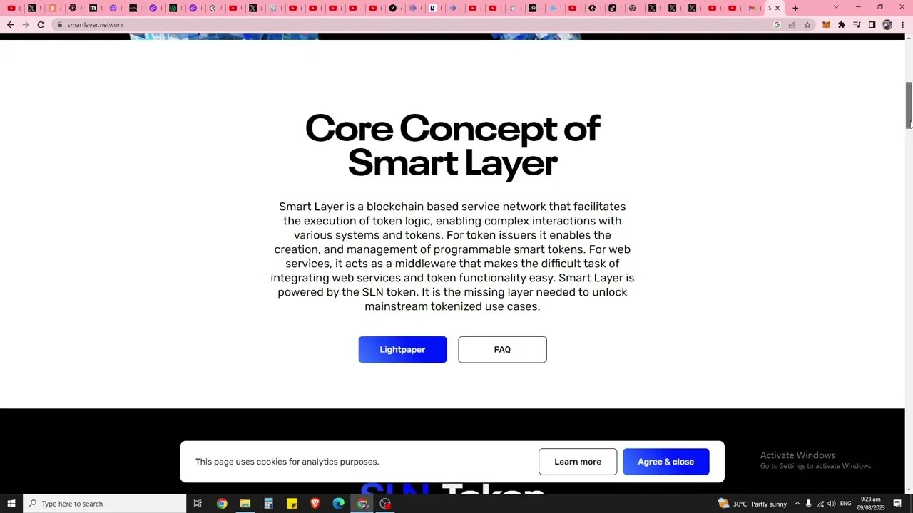 SmartLayer Has A Prospective Airdrop For Early Contributors. How To Get The $SLN Airdrop?