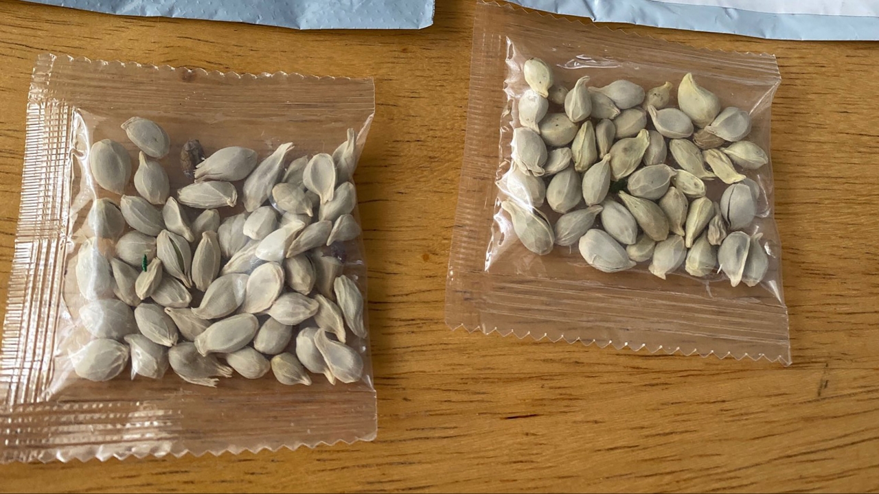 Amazon Bans Foreign Seed Sales In The U.S.