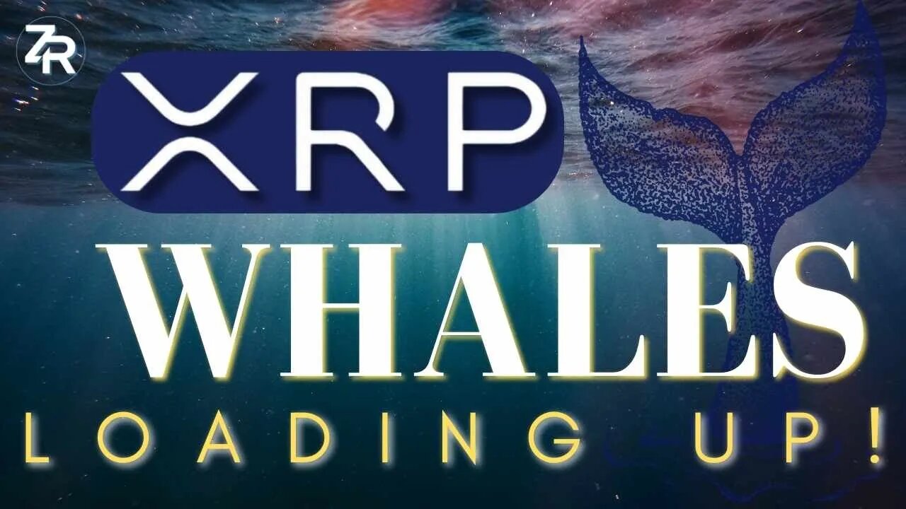 XRP Whales Loading Up! $14 Trillion Prediction!
