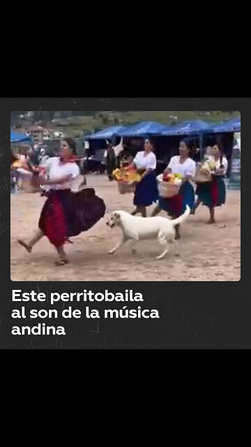 ‘Firualis’ se llevó el show durante baile de las cholas cuencanas