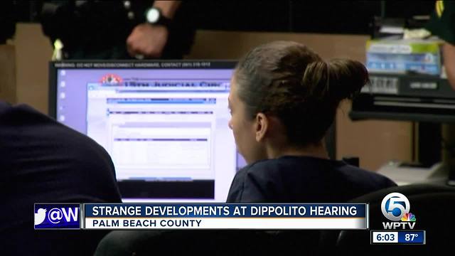 Dippolito bond hearing ends without ruling, judge to issue written order on his decision