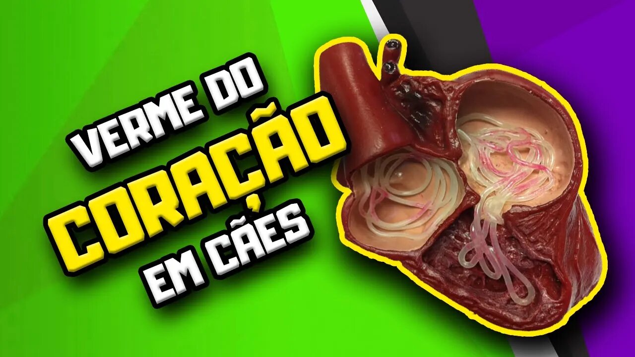 Verme do coração e Alimentação Natural para Cães | Dr. Edgard Gomes | Alimentação natural para Cães