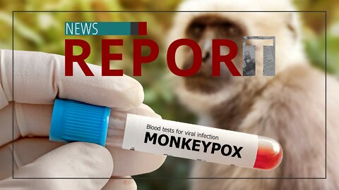 Catholic — News Report — Monkey Madness