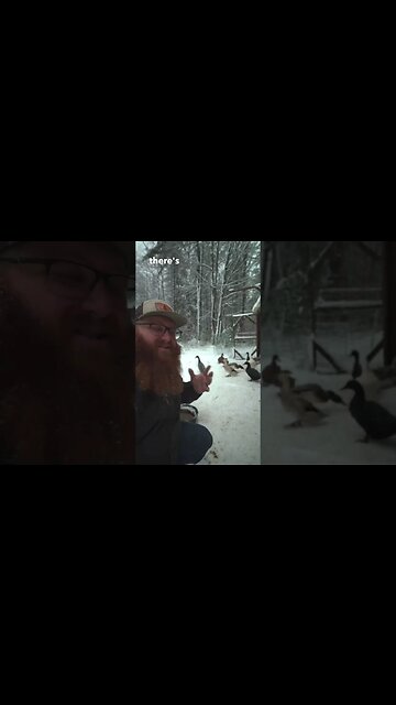 Duck Feet vs Snow