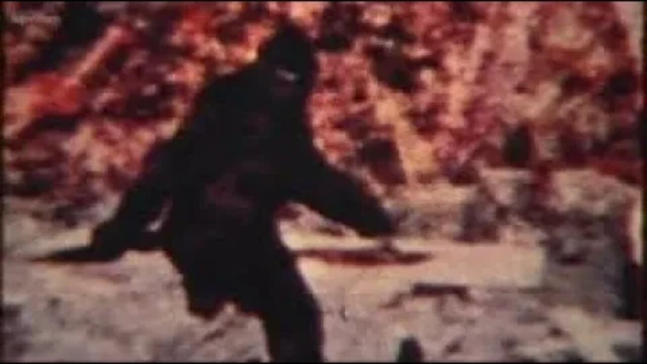 Sightings-Bigfoot