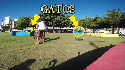 ESPORTE DE RISCO ! ß Ø ¥ Å: TREINANDO NA PRAÇA E COM GATOS DE PLATÉIA ...