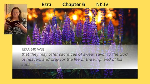Ezra 6 : 04/11/24
