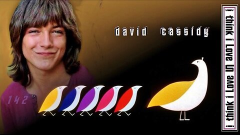 i think i Love you, david cassidy