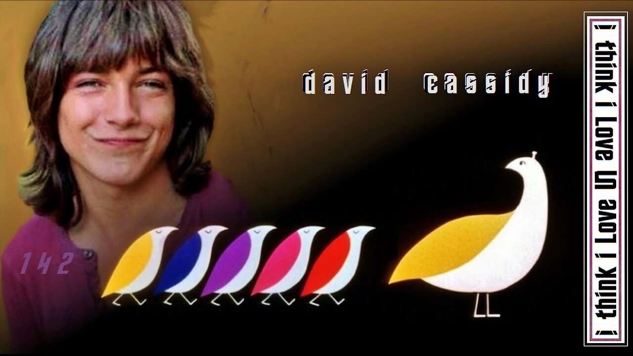 i think i Love you, david cassidy