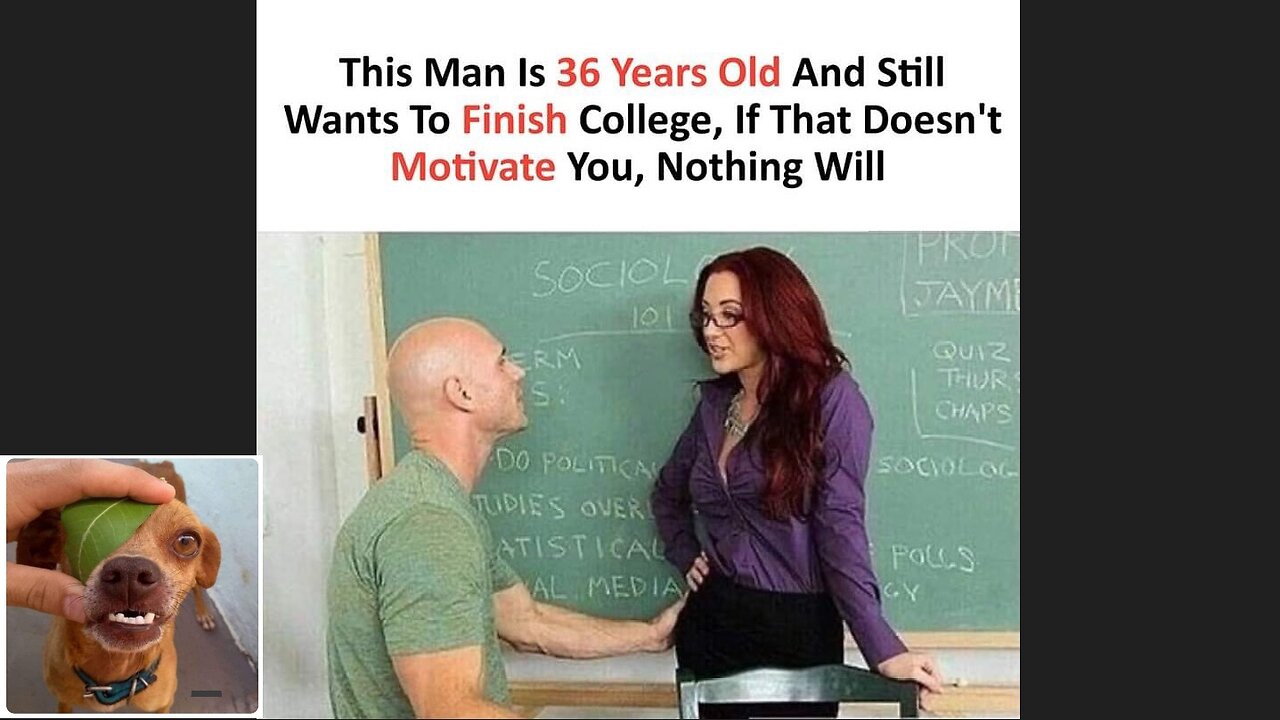 Memes That Will 99.837% Make You Laugh. (e62)