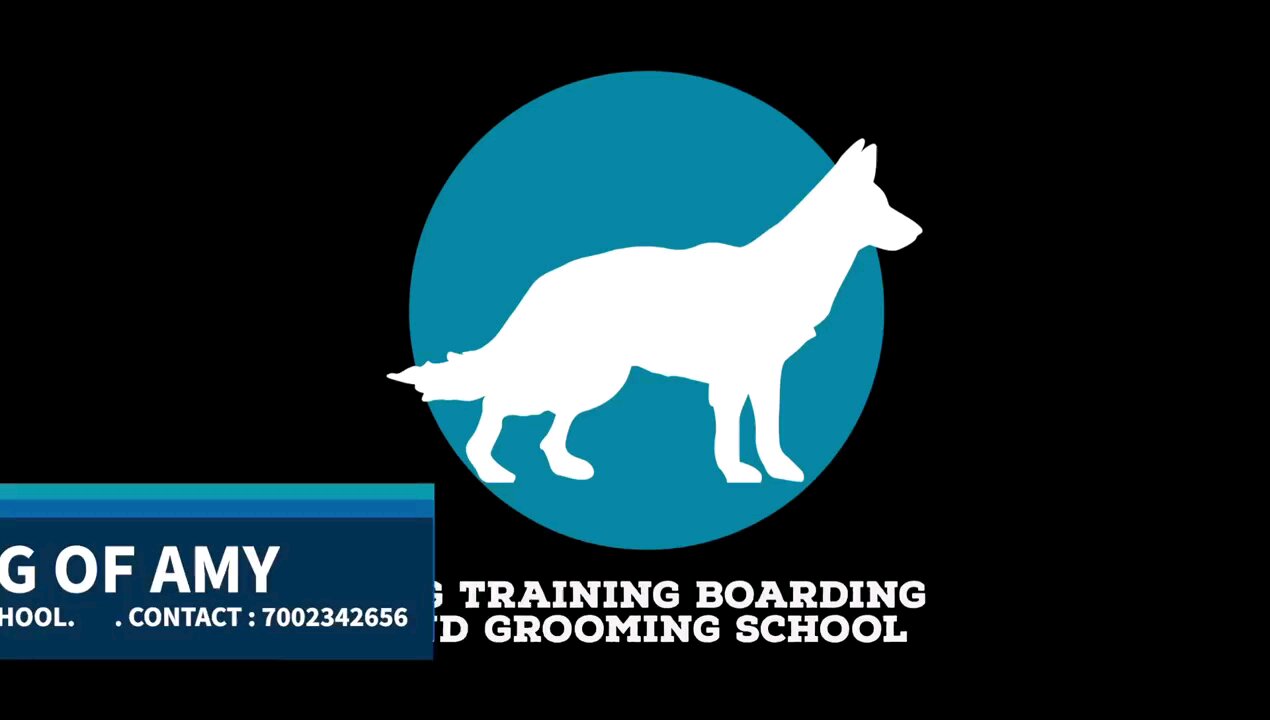 A dog training