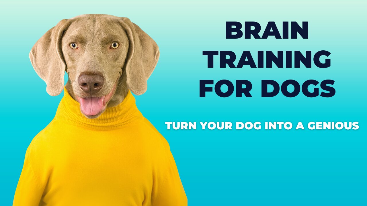 Turn Your Dog Into A Genious