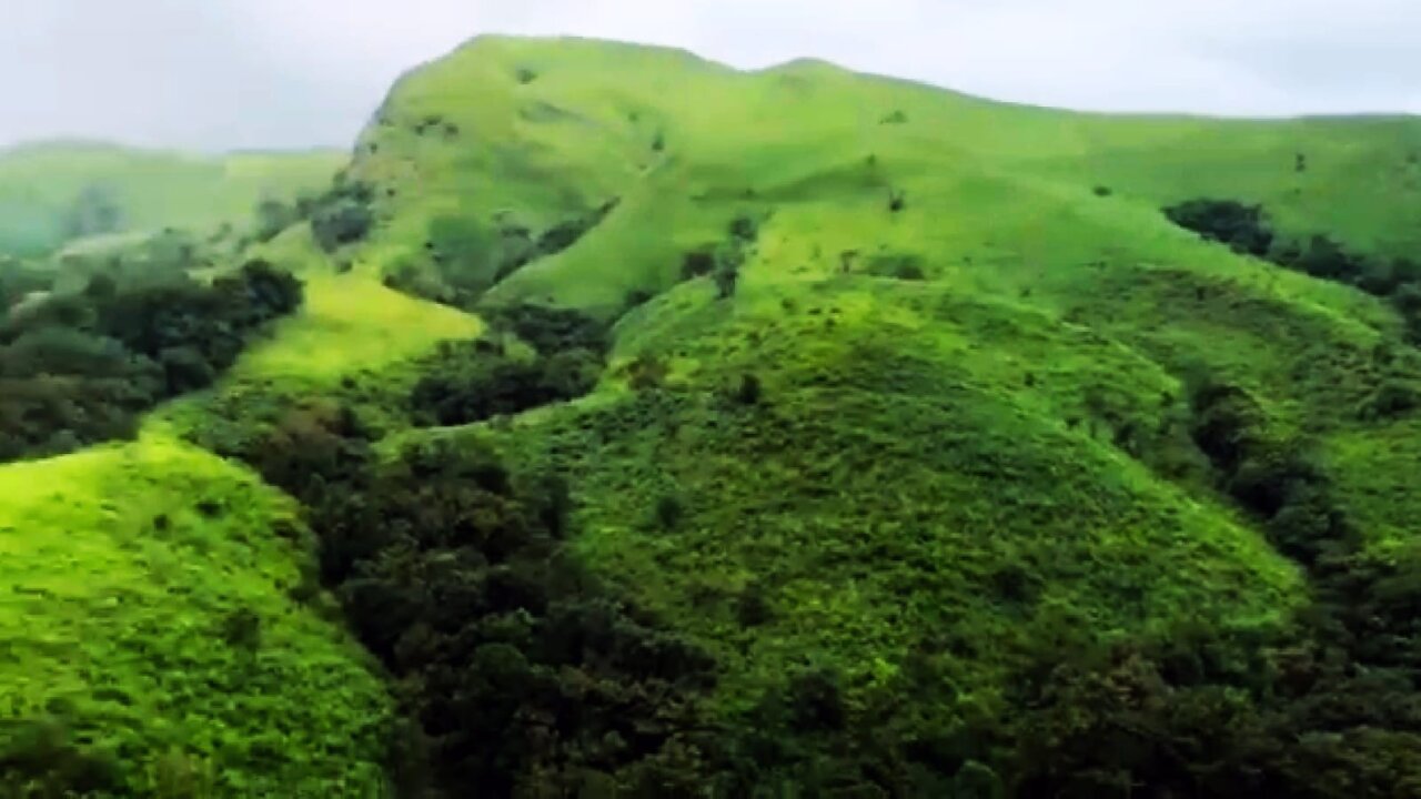 Beautiful Real Indian Mountain Forest Nature