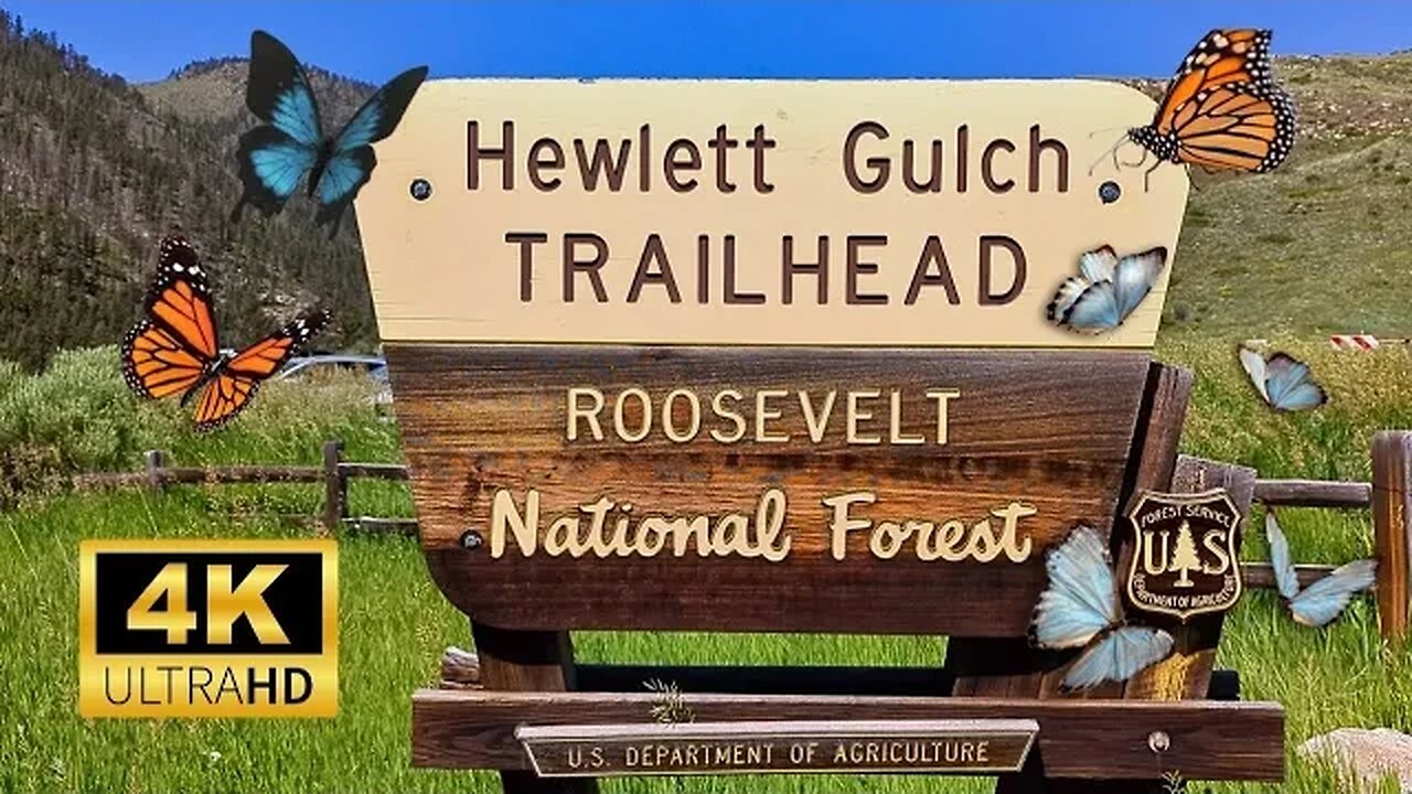 Lots of Butterflies and Wildflowers on The Hewlett Gulch Trail.