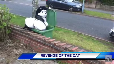 Revenge of the Cat