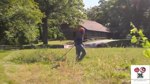 Urban farming: Detroit based nonprofit works to make sure Black farmers own their land