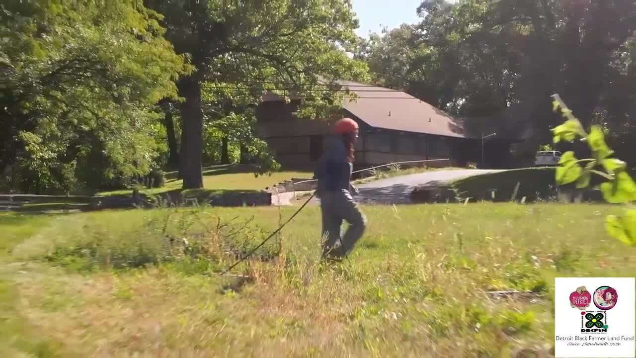 Urban farming: Detroit based nonprofit works to make sure Black farmers own their land