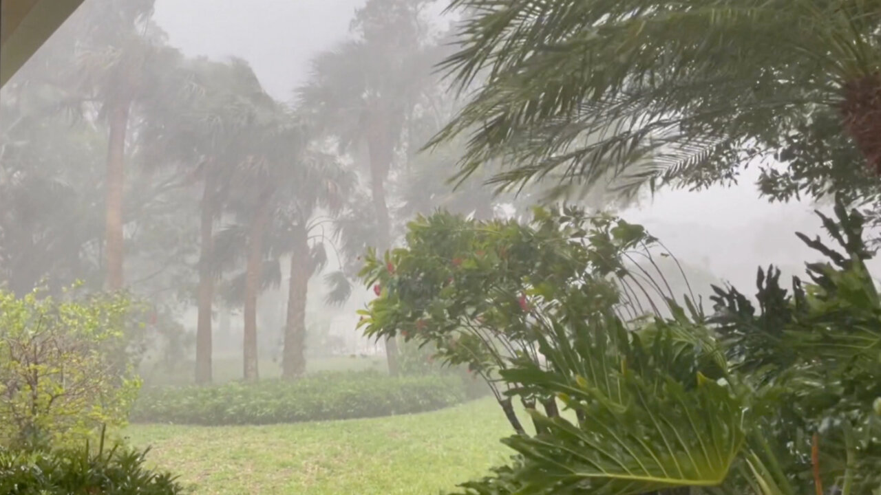 Violent storm downs trees, causes hail in Palm Beach Garden