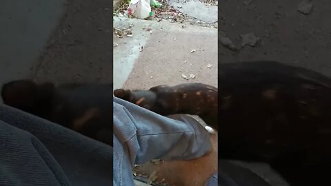 A Little Loving For The Food