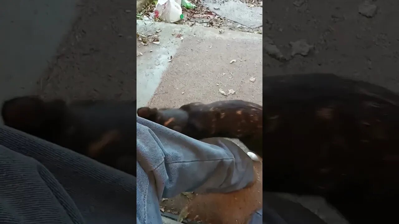 A Little Loving For The Food