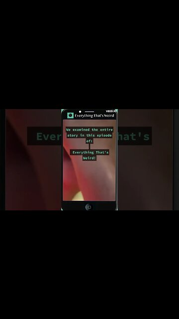 What do think happened to the Dutch Hikers in Panama? (Episode in comments)