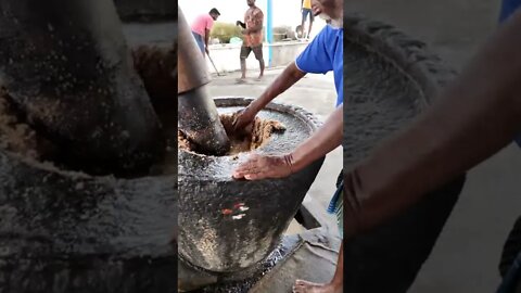 Whole process of traditional peanut oil extraction.