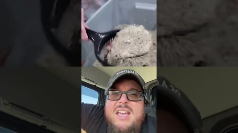 Here’s Your Dose Of REALarious…🤣🤣🤣 with @Random Schmitt