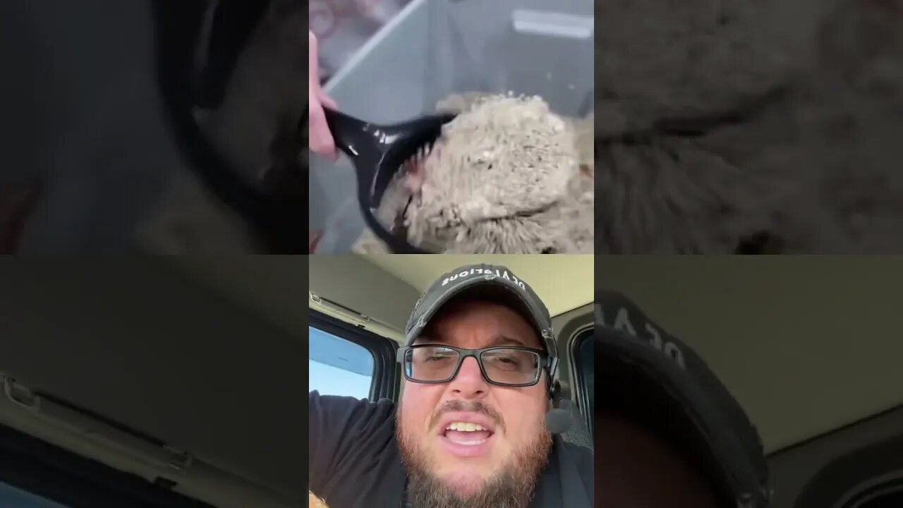 Here’s Your Dose Of REALarious…🤣🤣🤣 with @Random Schmitt