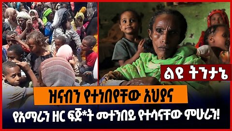 ዝናብን የተነበየቸው አህያና የአማራን ዘር ፍጅ*ት መተንበይ የተሳናቸው ምሁራን❗️Amhara | Abiy | Shimelis | Ethiopia Mar 15 2023