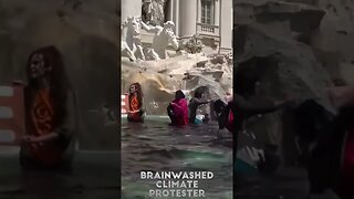 Climate Protester, Throw Black Dye Into Romes Trevi Fountain (Italian)