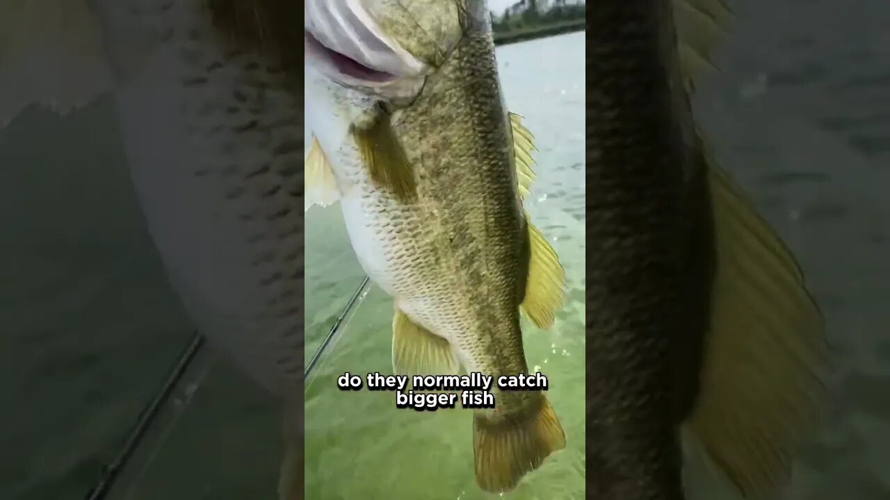 Do BIGGER BAITS mean BIGGER FISH?!?