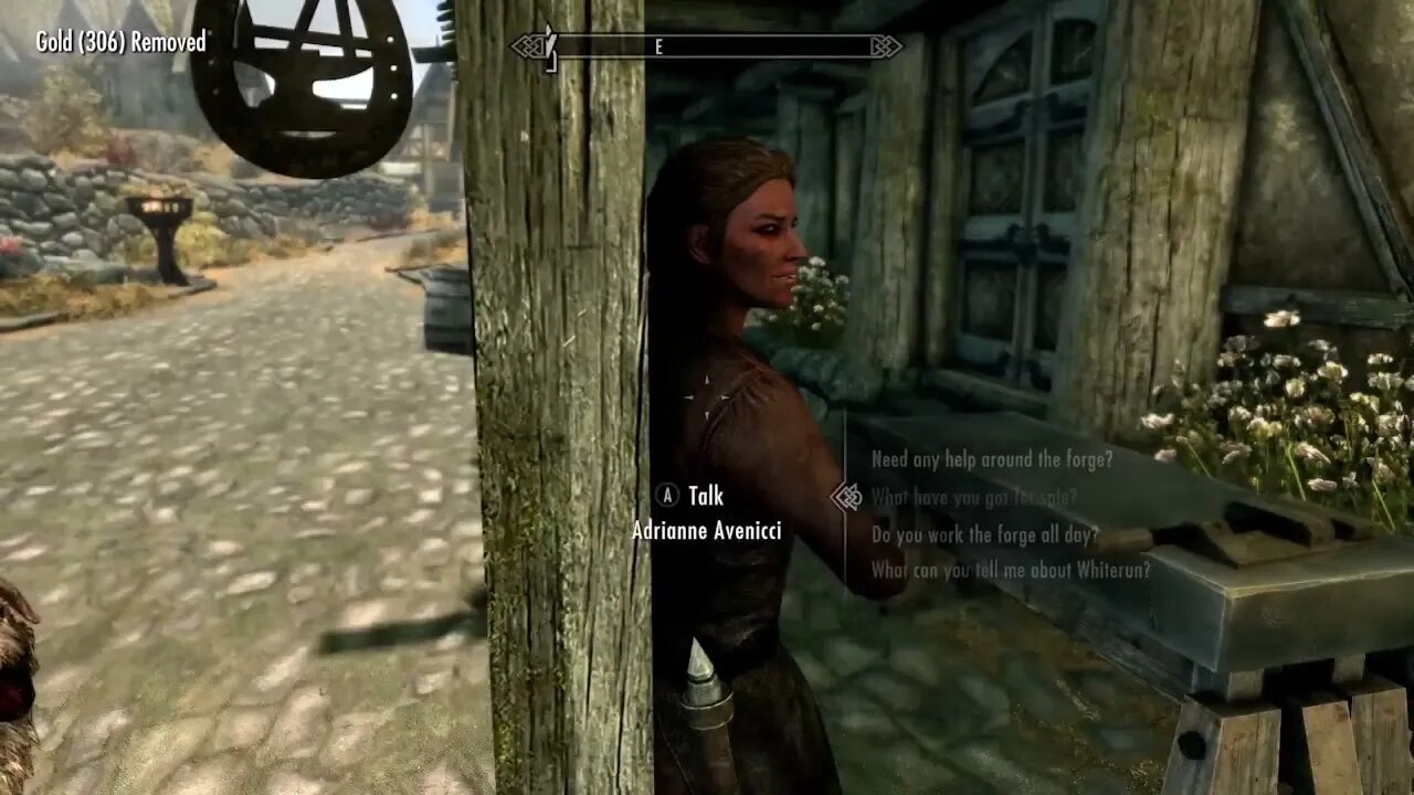 Skyrim #10