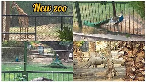 I visited lahore zoo | Changes in zoo | new resturants in zoo | fiza farrukh