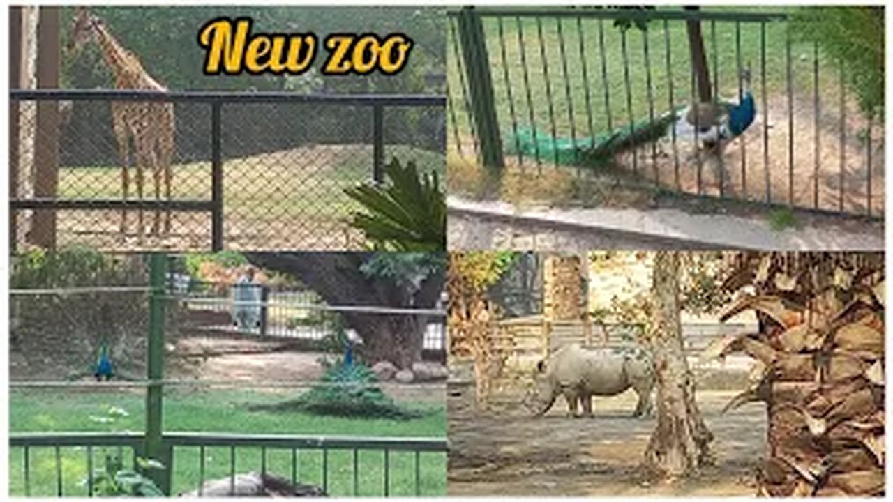 I visited lahore zoo | Changes in zoo | new resturants in zoo | fiza farrukh
