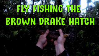 Fly Fishing The Brown Drake Hatch