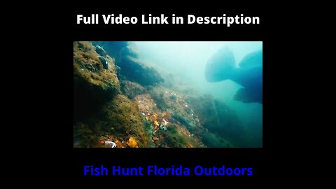 Underwater footage on the Tennessee River