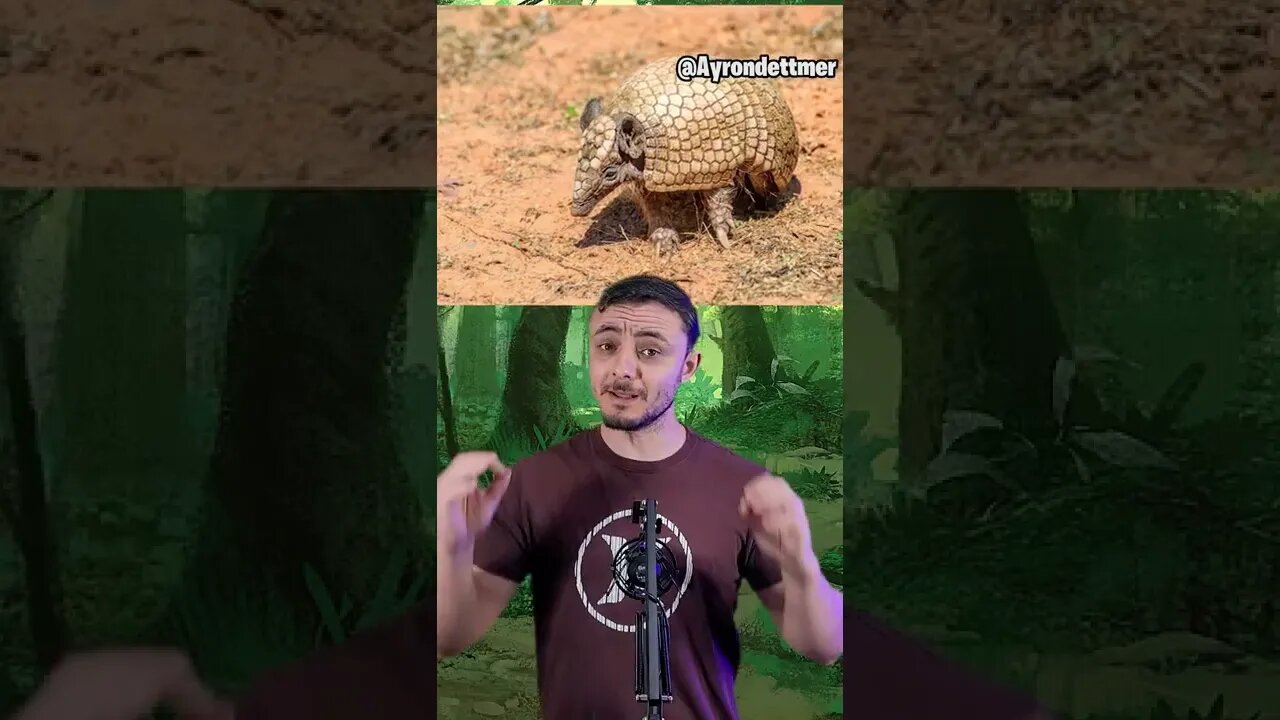 ANIMAIS EM EXTINSÃO NO BRASIL