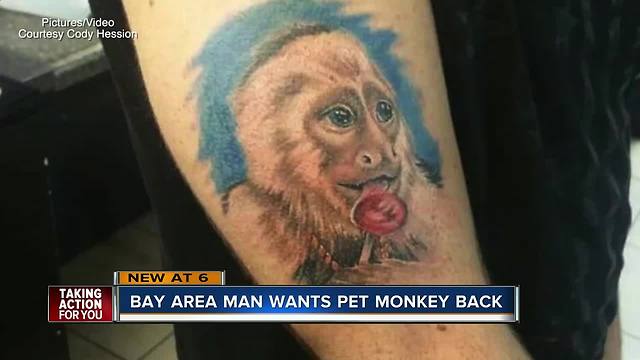 Bay area man wants pet monkey back