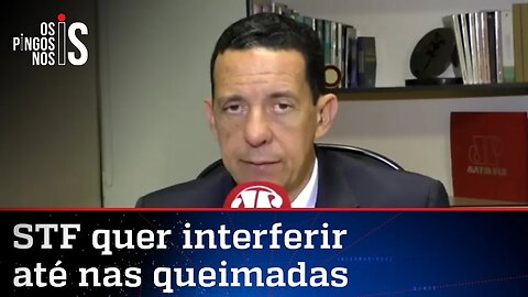 José Maria Trindade: Bolsonaro se esforça para conter fogo no Pantanal